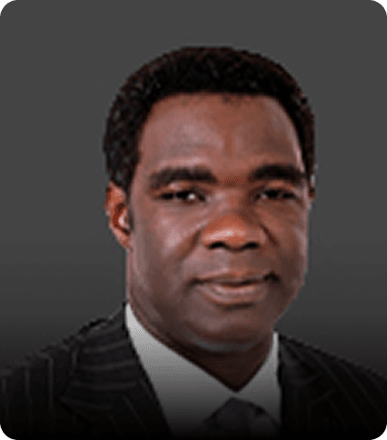 Mr. Femi Badeji